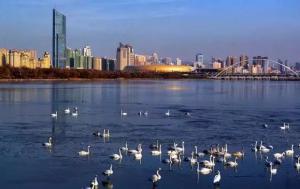 三门峡又一网红景点，确定不来pick一下？