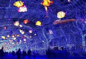 【三门峡国际光影艺术节】家门口的杂技表演和灯光秀，精彩不容错过！